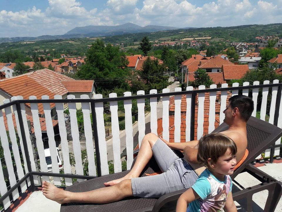Vila Lenka Sokobanja 外观 照片