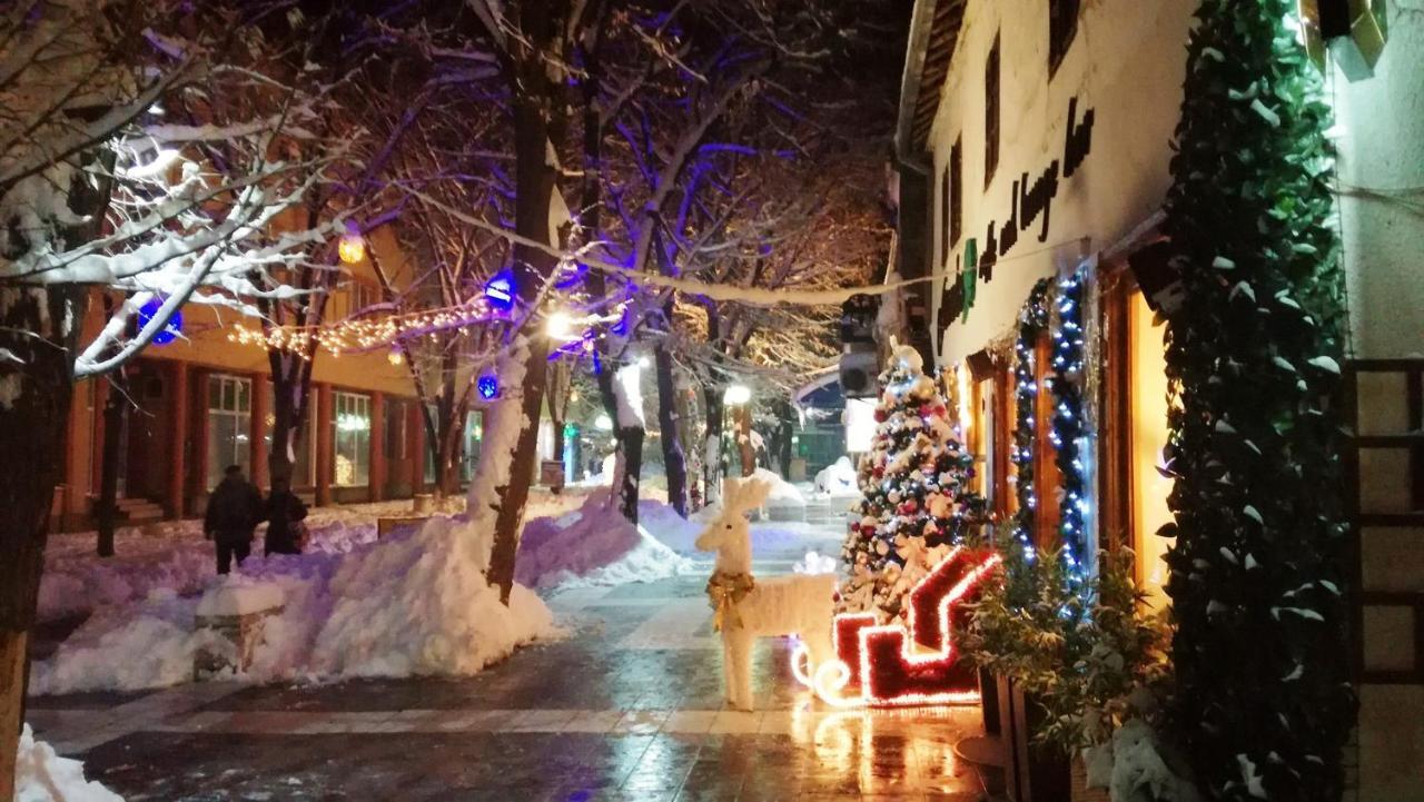 Vila Lenka Sokobanja 外观 照片